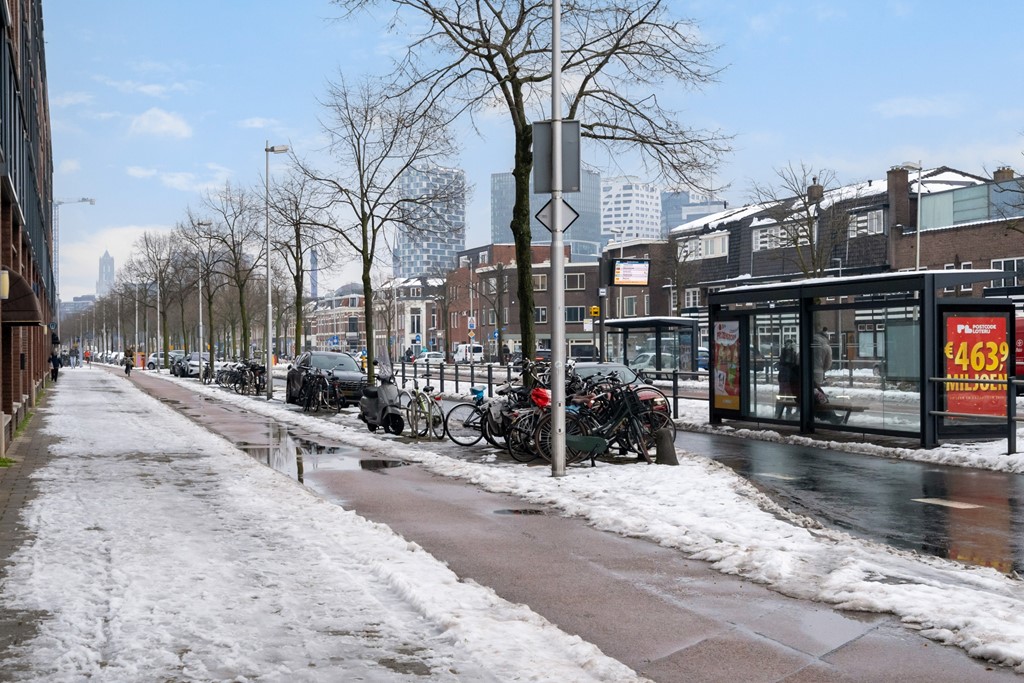 45. Vleutenseweg 271_63.jpg